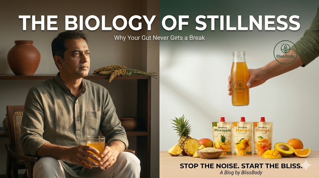 The Biology of Stillness: Why Your Gut Never Gets a Break